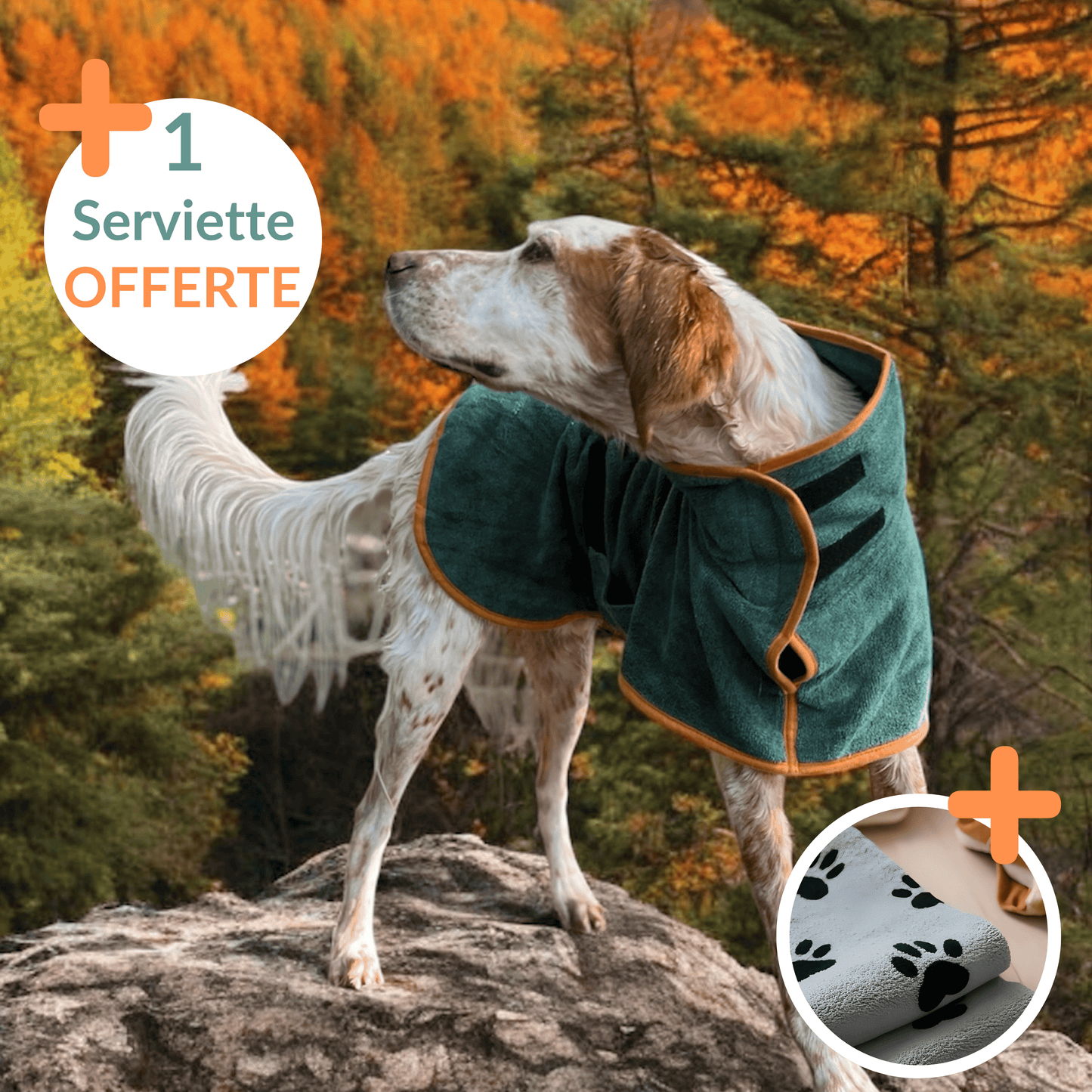 Peignoir DryCoat + 1 serviette OFFERTE