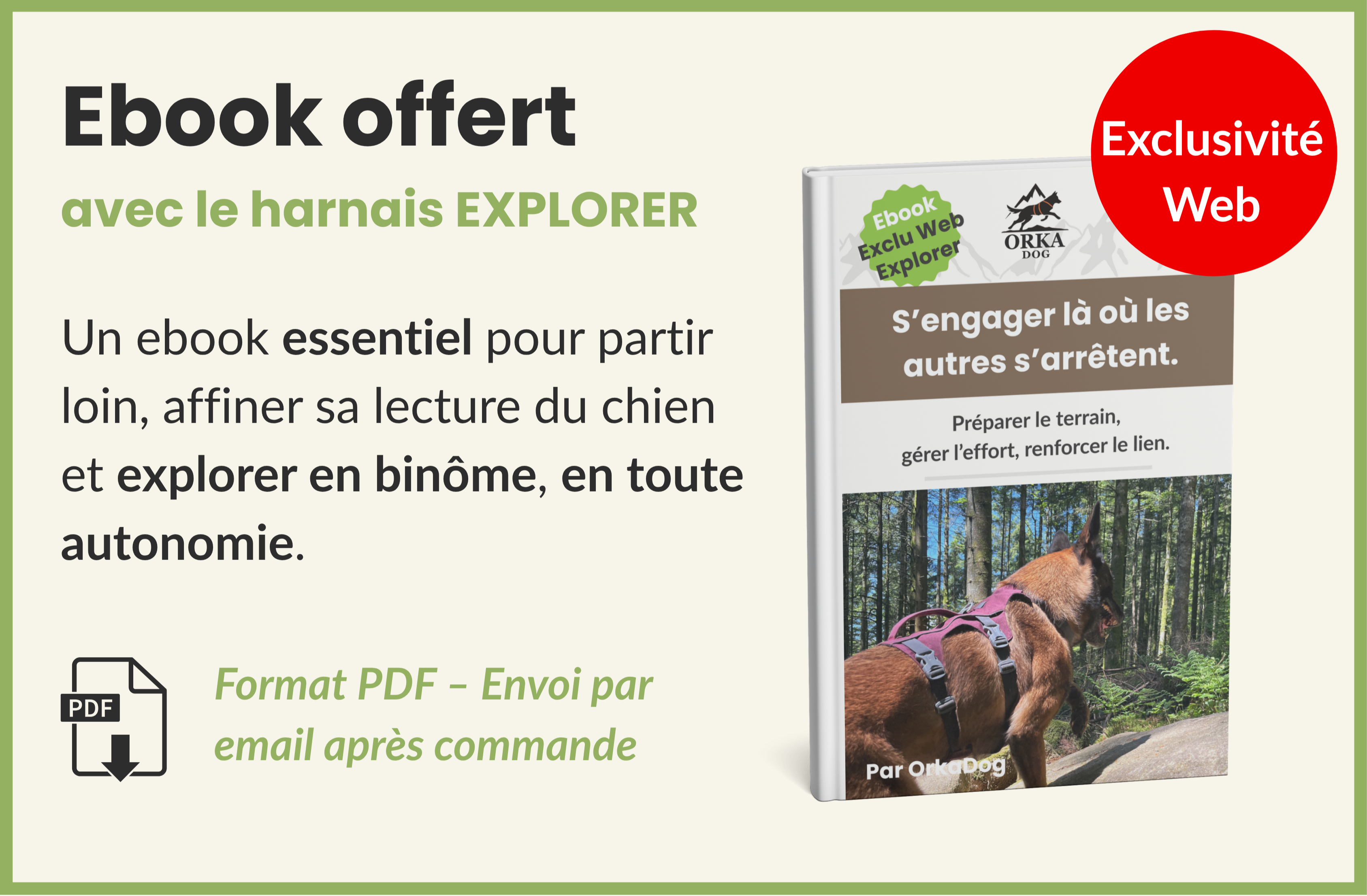 Visuel de l’e-book OrkaDog "Là où les autres s’arrêtent", offert avec le harnais Explorer. Un guide complet pour randonner, bivouaquer et explorer en duo avec son chien, en sécurité, dans le respect du rythme et des capacités de chacun.