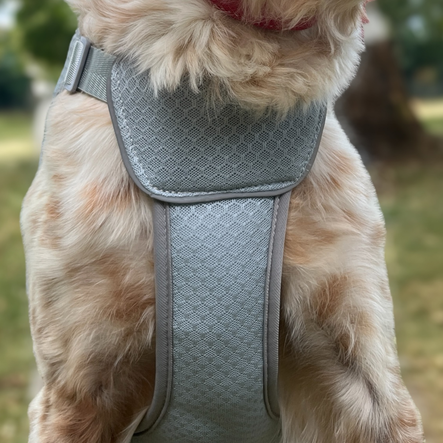 Vue frontale du gilet rafraîchissant Tundra OrkaDog, coupe ergonomique sans gêne pour le chien.