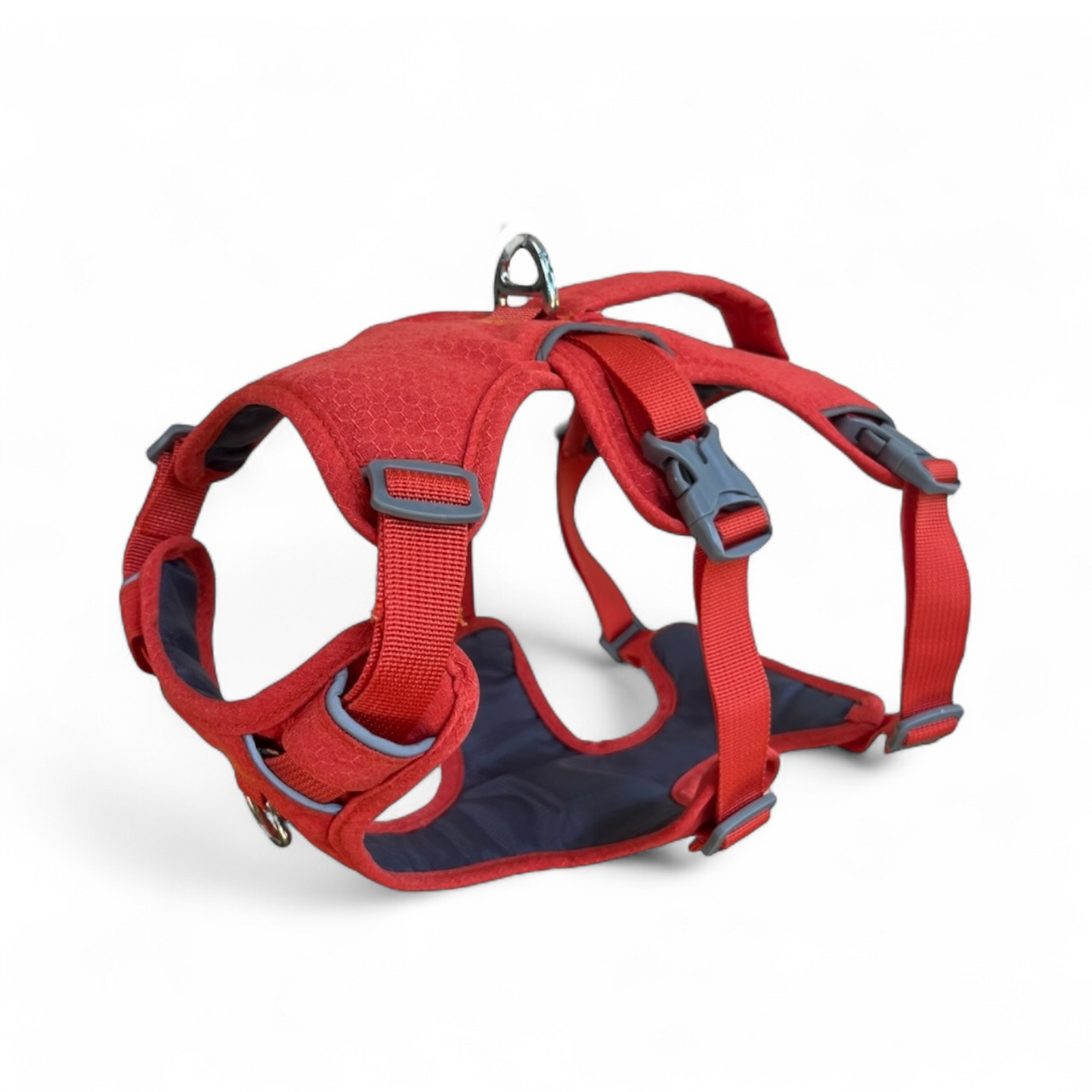 Harnais orange OrkaDog modèle Altitude à trois points, vue studio sur fond blanc