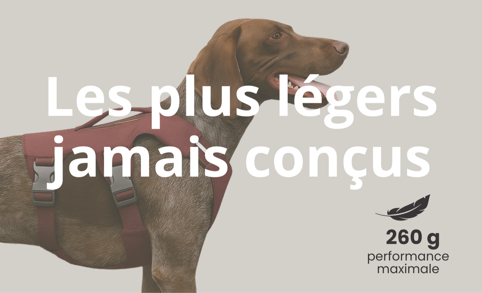 Chien portant le harnais OrkaDog ultra léger de 260 g, conçu pour la performance outdoor