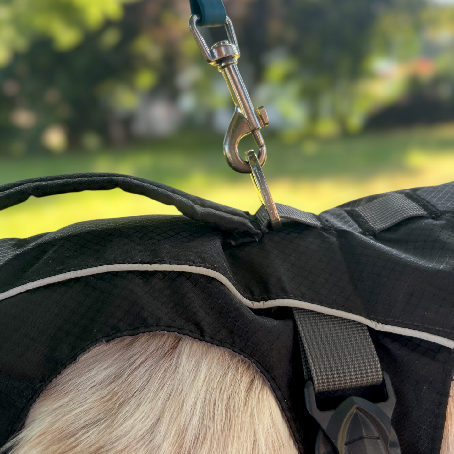 Détail de la poignée dorsale renforcée du harnais Trekka OrkaDog pour une prise rapide