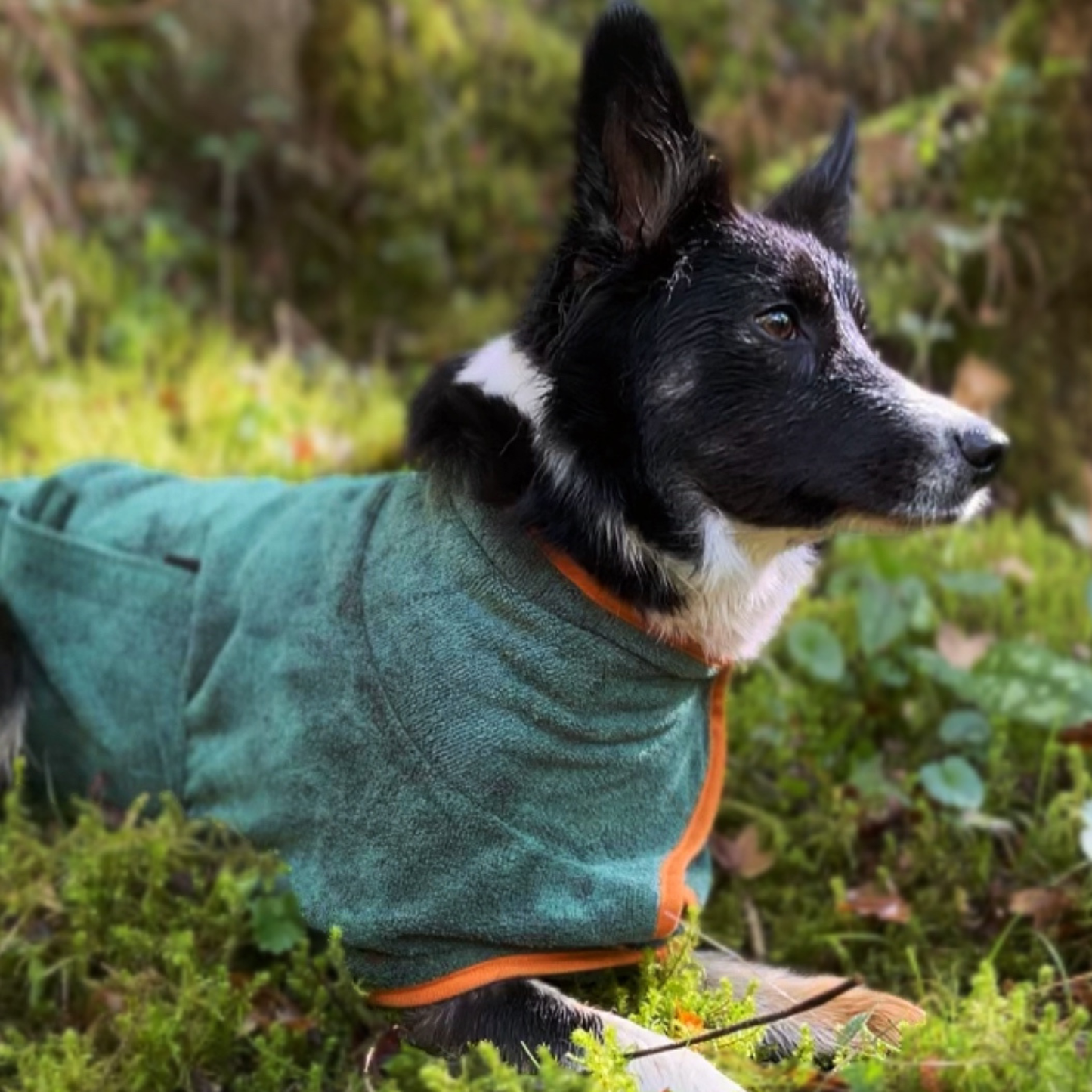 Peignoir DryCoat + 1 serviette OFFERTE