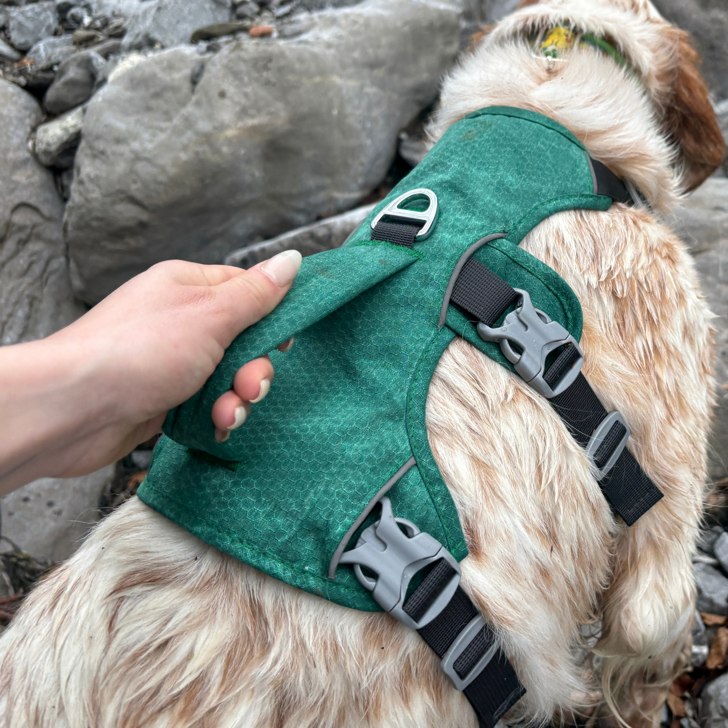 Zoom sur la poignée renforcée d’un harnais OrkaDog vert tenue à la main, vue en situation outdoor