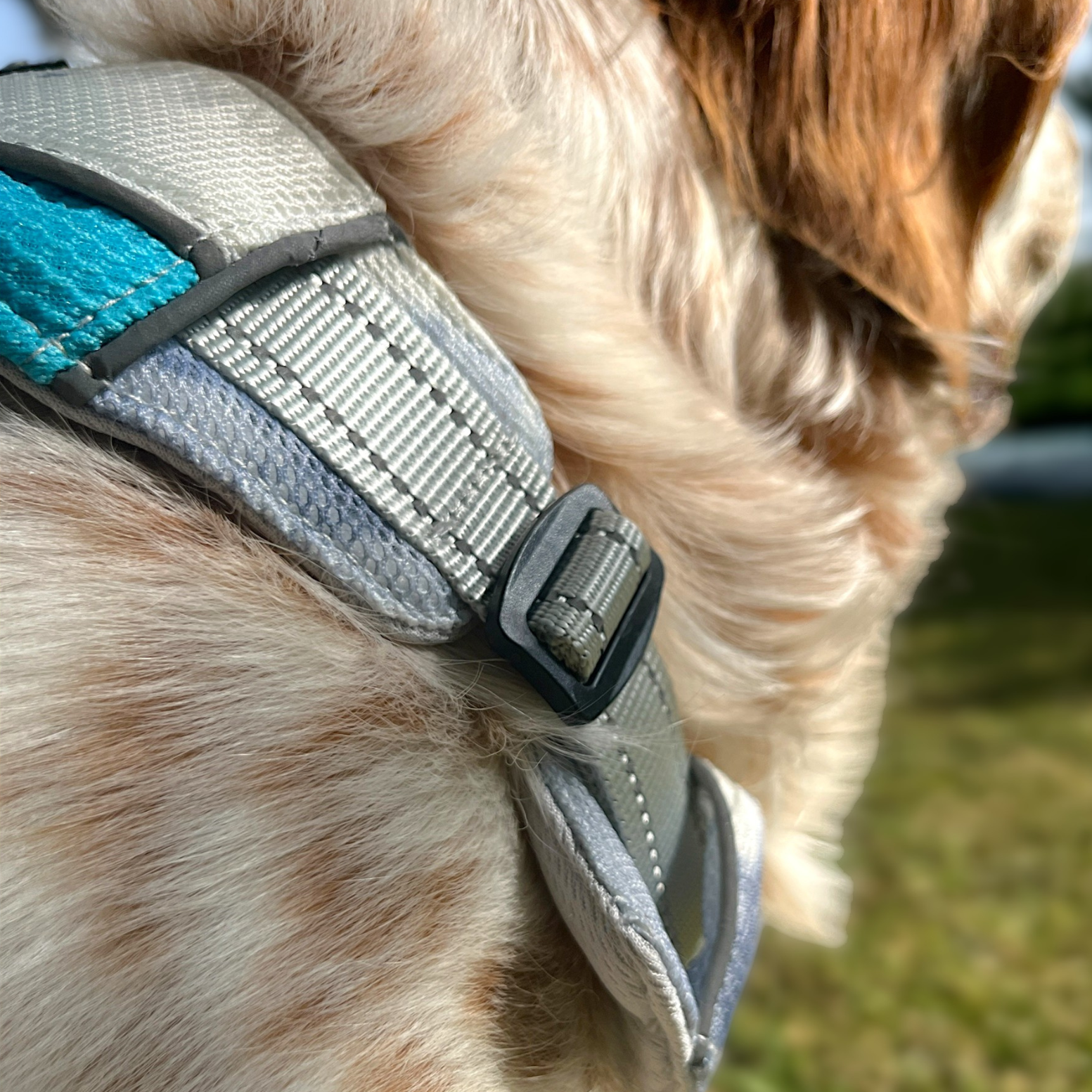 Boucle réglable du harnais rafraîchissant  3 points OrkaDog en extérieur