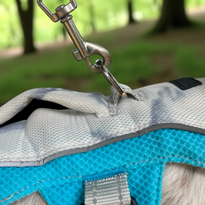Mousqueton attaché à la poignée du harnais rafraîchissant Arktic en balade