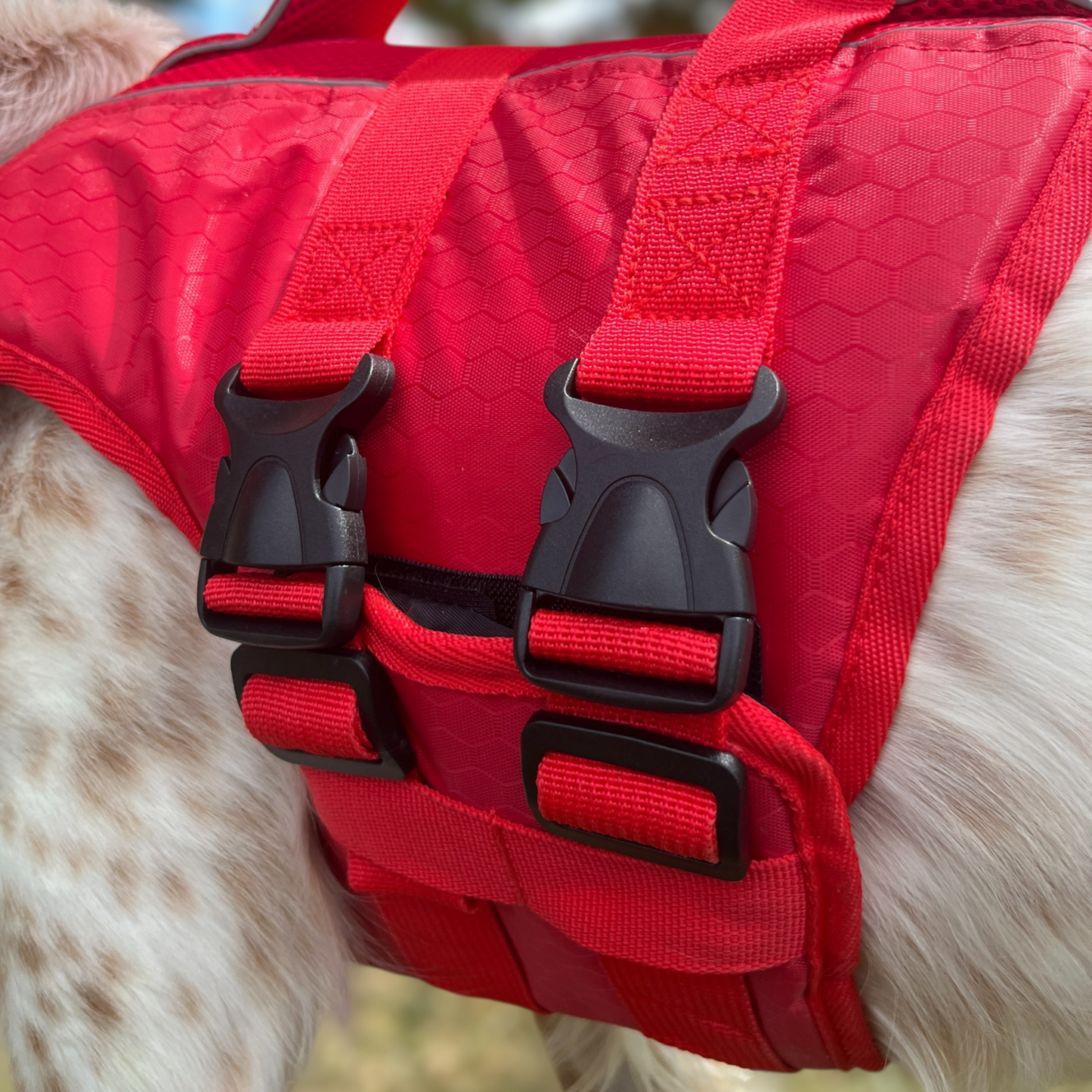 Double boucle dorsale renforcée du gilet Nautik OrkaDog, sécurité et stabilité dans l’eau.