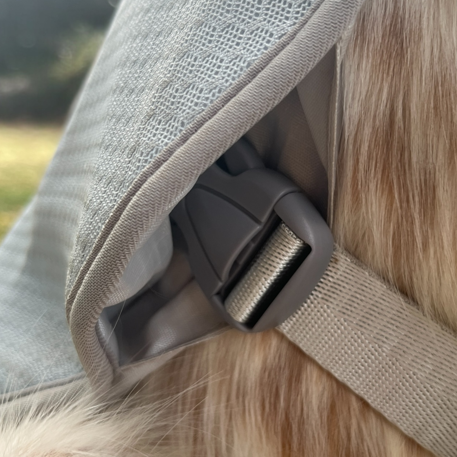 Vue frontale du gilet rafraîchissant OrkaDog, coupe ergonomique sans gêne pour le chien.