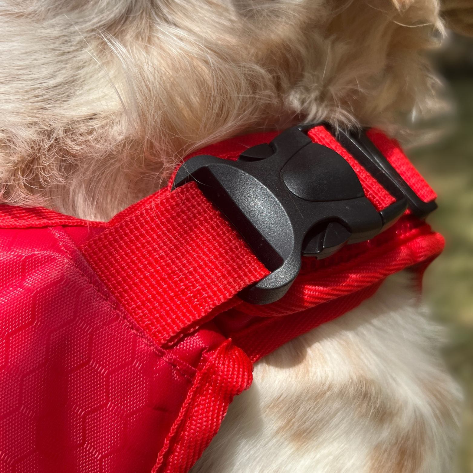 Zoom sur la boucle de réglage latérale du gilet Nautik OrkaDog, solide et facile à ajuster.