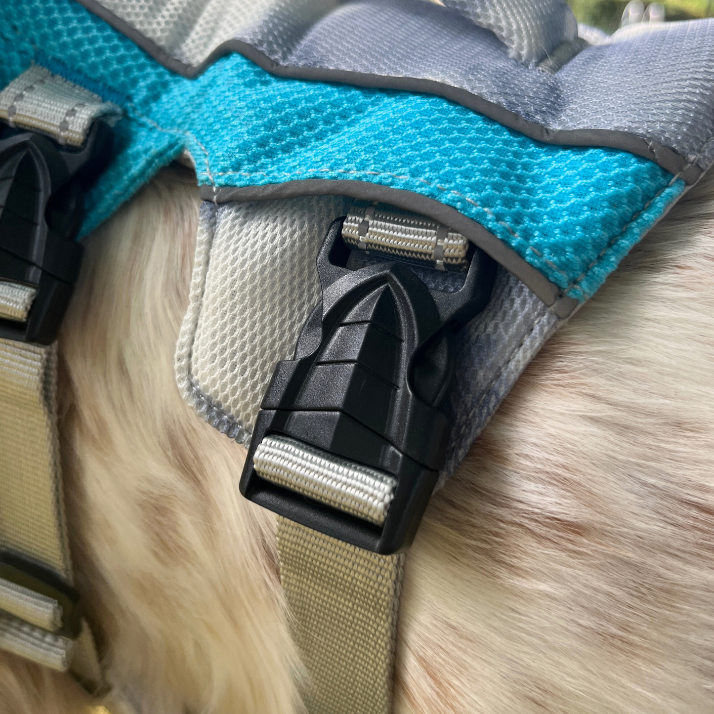 Zoom sur boucle sécurisée noire du harnais rafraîchissant 3 points OrkaDog