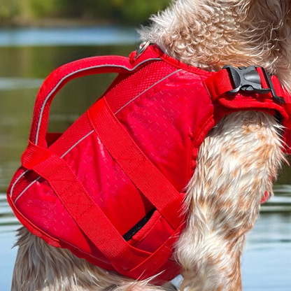 Chien en mouvement équipé du gilet de flottaison Nautik OrkaDog, bandes réfléchissantes et maintien optimal.