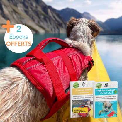 Chien en canoë équipé du gilet de flottaison Nautik OrkaDog, avec deux e-books offerts pour les activités aquatiques.