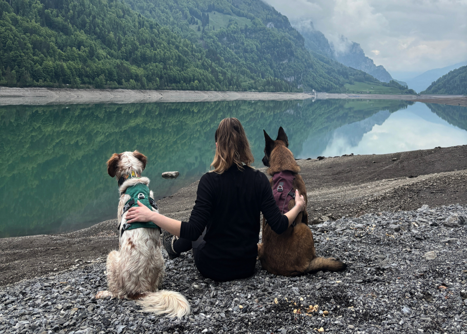 Moment de complicité entre une femme et ses deux chiens portant des harnais OrkaDog, au bord d’un lac de montagne