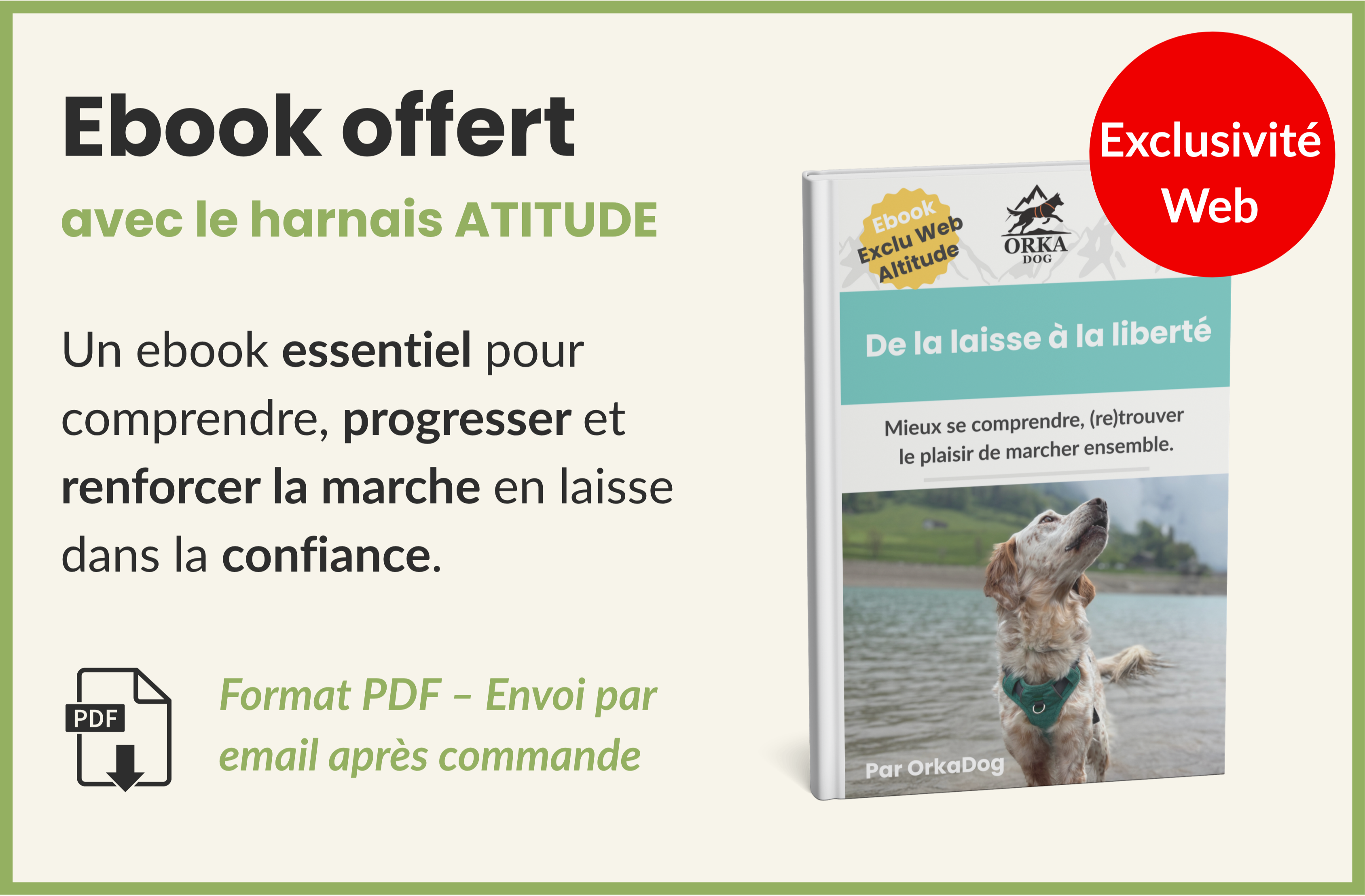 Visuel de l’e-book OrkaDog "Marcher ensemble en confiance", offert avec le harnais Altitude. Un guide éducatif sur la marche en laisse, le lien positif et la gestion du stress pour les chiens sensibles ou dynamiques.