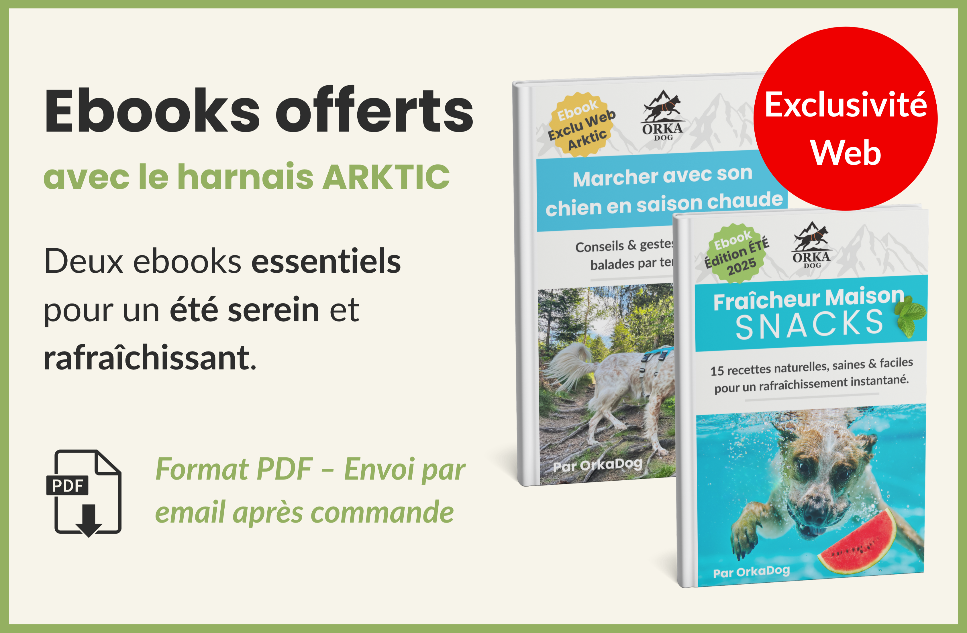 Visuel de l’e-book OrkaDog "Marcher avec son chien en saison chaude", offert avec le harnais rafraîchissant Arktic. Un guide pratique pour sortir en toute sécurité l’été, prévenir les coups de chaleur et ajuster le harnais par temps chaud.