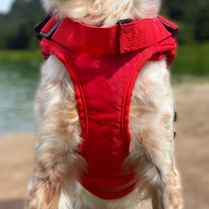 Vue frontale du gilet Nautik OrkaDog porté, coupe ajustée au poitrail du chien pour liberté de mouvement.