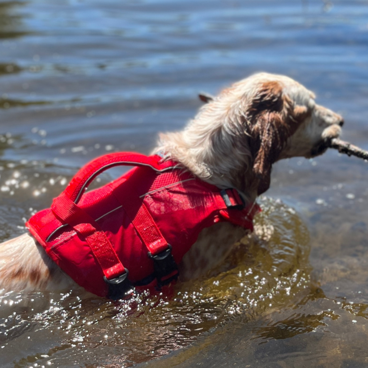 Gilet Nautik - Flottaison & Sécurité