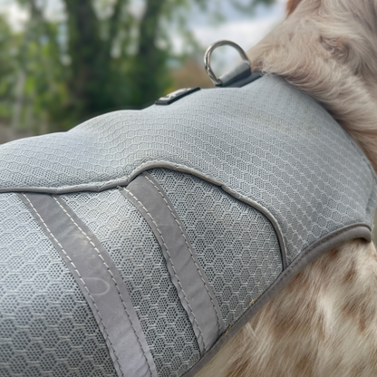 Gros plan sur le gilet Tundra OrkaDog porté, textile technique respirant pour chien.