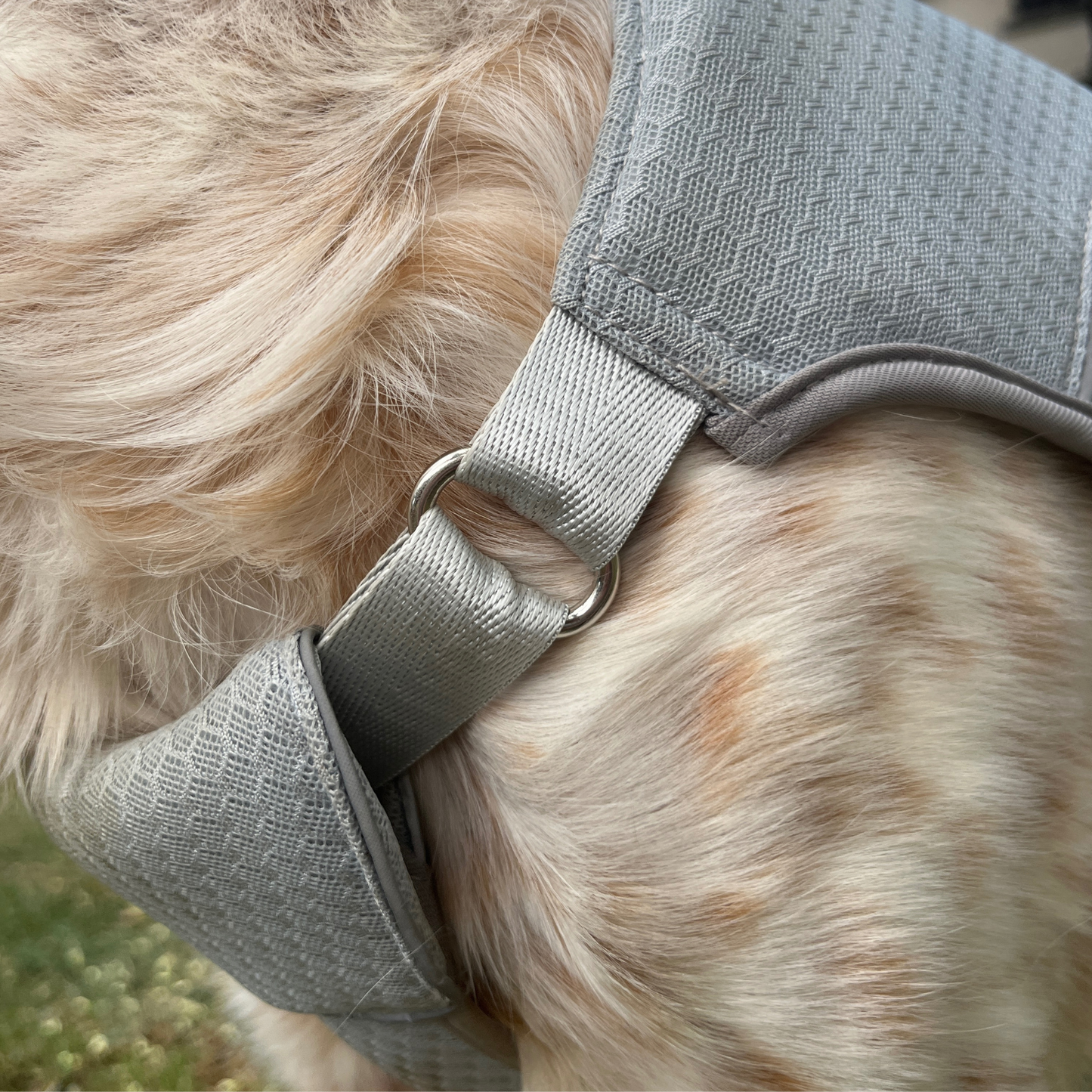 Gilet Tundra - Fraîcheur & Mobilité