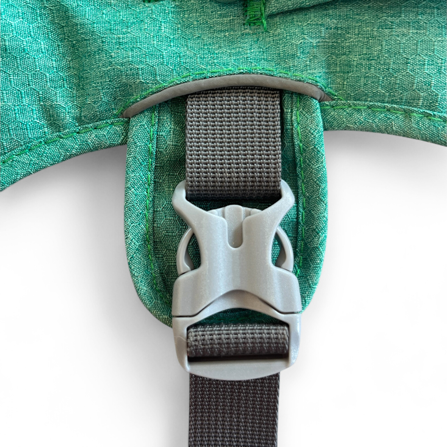 Détail de la boucle renforcée du harnais Altitude pour chien, sécurité et maintien