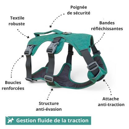 Schéma annoté des points techniques du harnais 3 points Altitude OrkaDog : poignée, boucles, textile, anti-traction