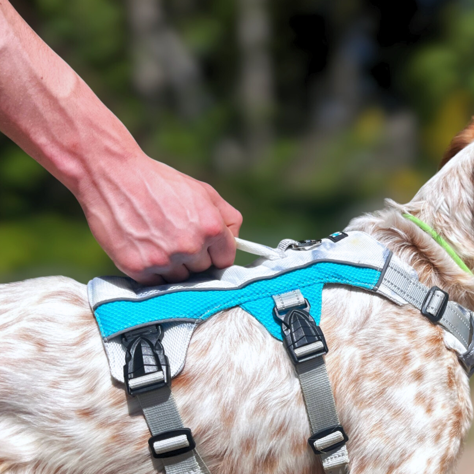 Gros plan sur la poignée dorsale du harnais 3 points Arktic tenue à la main