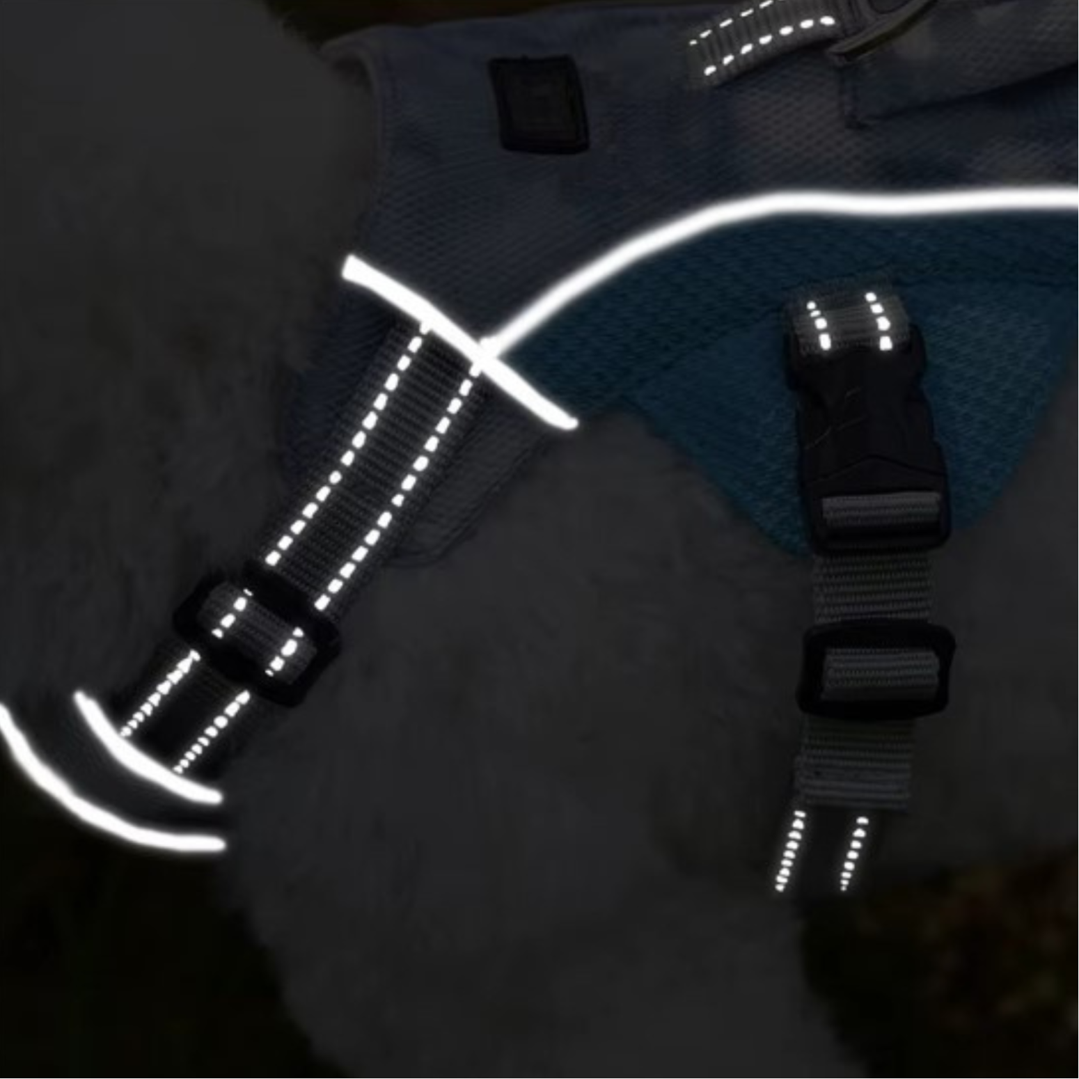 Harnais rafraîchissant 3 points OrkaDog avec bandes réfléchissantes visibles la nuit