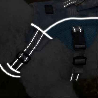 Harnais rafraîchissant 3 points OrkaDog avec bandes réfléchissantes visibles la nuit