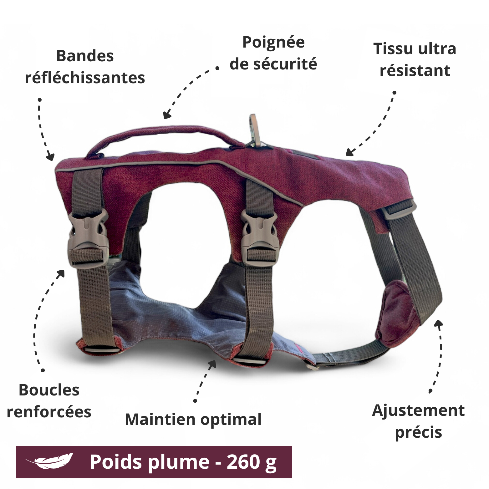 Harnais Explorer OrkaDog – infographie avec poignées, boucles renforcées, tissu technique et légèreté