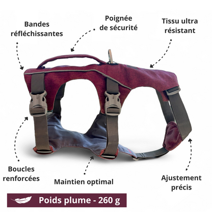 Harnais Explorer OrkaDog – infographie avec poignées, boucles renforcées, tissu technique et légèreté