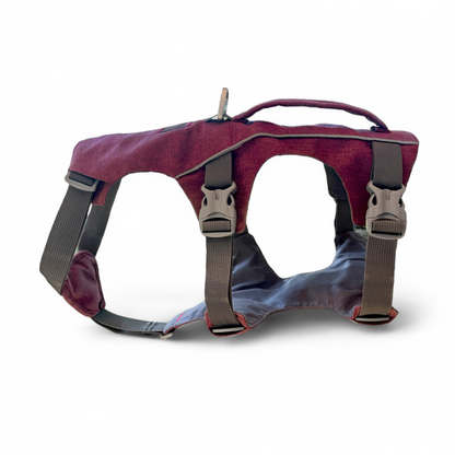 Vue latérale du harnais Explorer 3 points OrkaDog – structure renforcée et boucles robustes