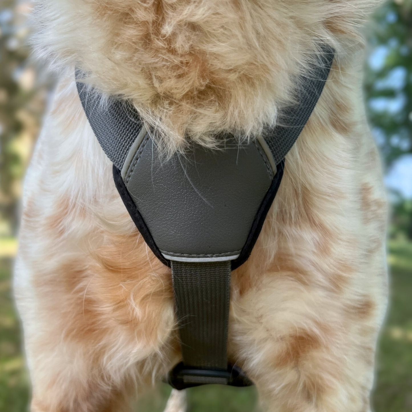 Zoom sur le poitrail rembourré du harnais Trekka OrkaDog assurant confort et maintien