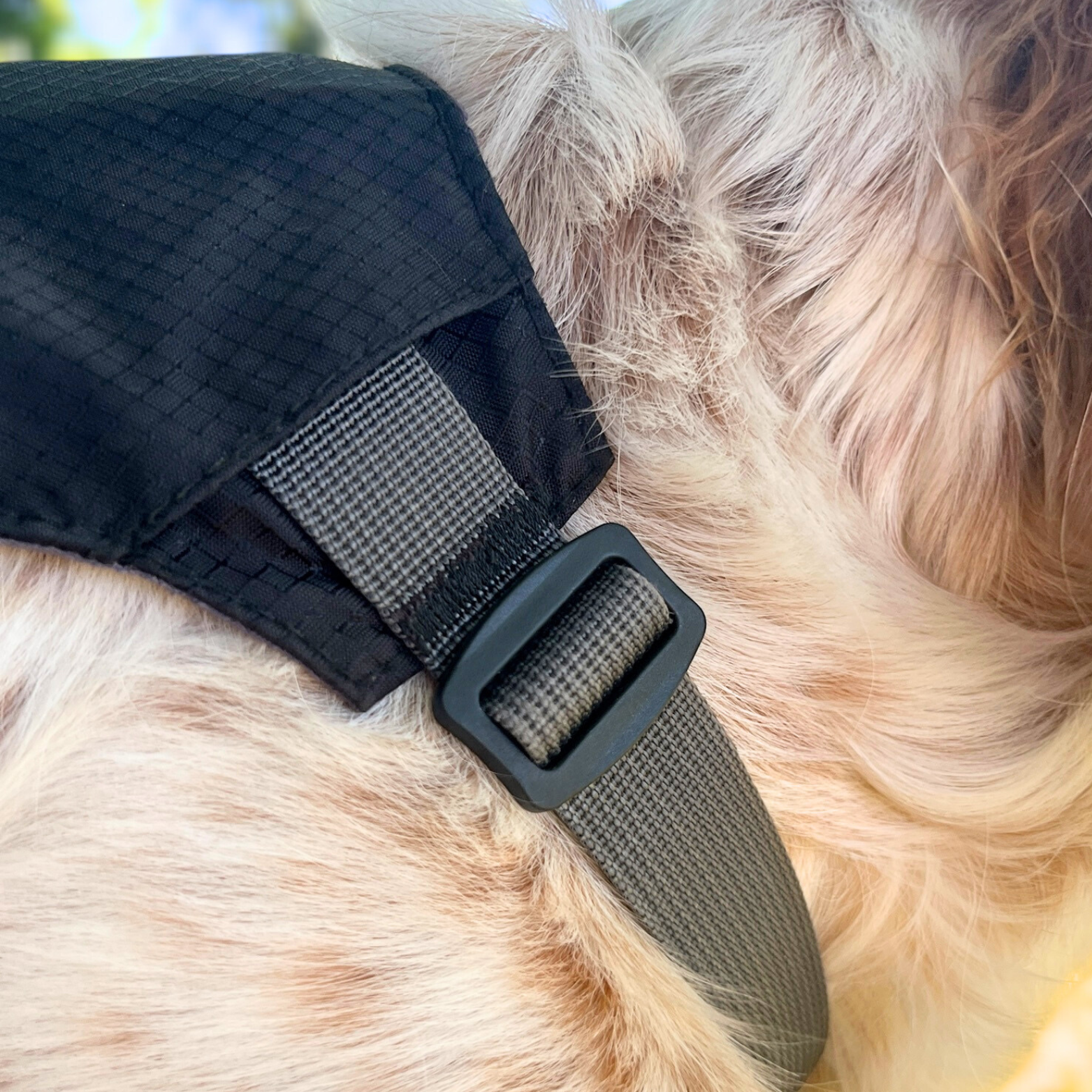 Boucle sécurisée et anneau de fixation en métal du harnais Trekka noir OrkaDog