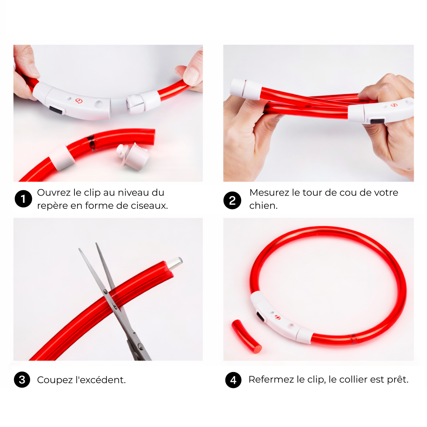 Collier LED Haute visibilité