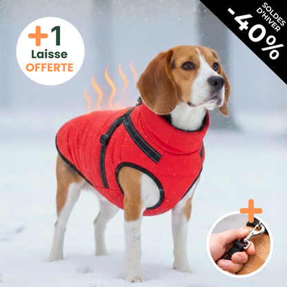 Manteau Thermik™ + 1 laisse OFFERTE