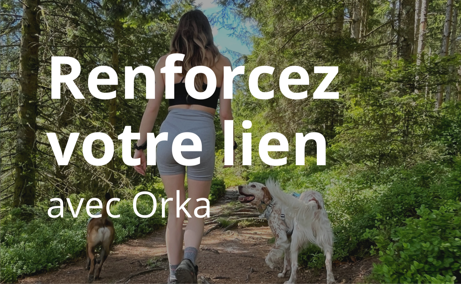Femme en randonnée avec deux chiens équipés de harnais OrkaDog dans une forêt
