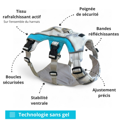Schéma du harnais rafraîchissant 3 points OrkaDog avec texte explicatif et technologie sans gel