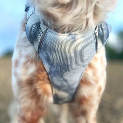 Détail du harnais Arktic sur le poitrail d’un chien, textile respirant apparent