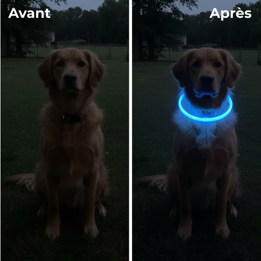 Collier LED Haute visibilité